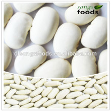 Beans Legumes In China